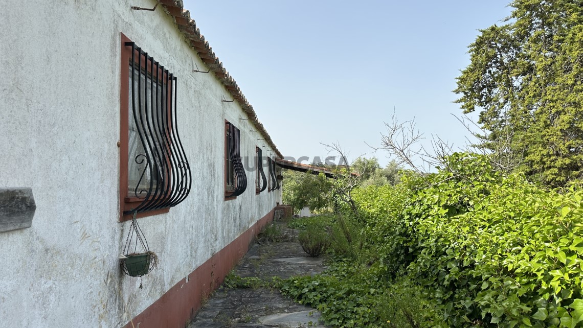 Large Corticeira Estate in Baixo Alentejo with Touristic, Residential and Agroforestry Potential