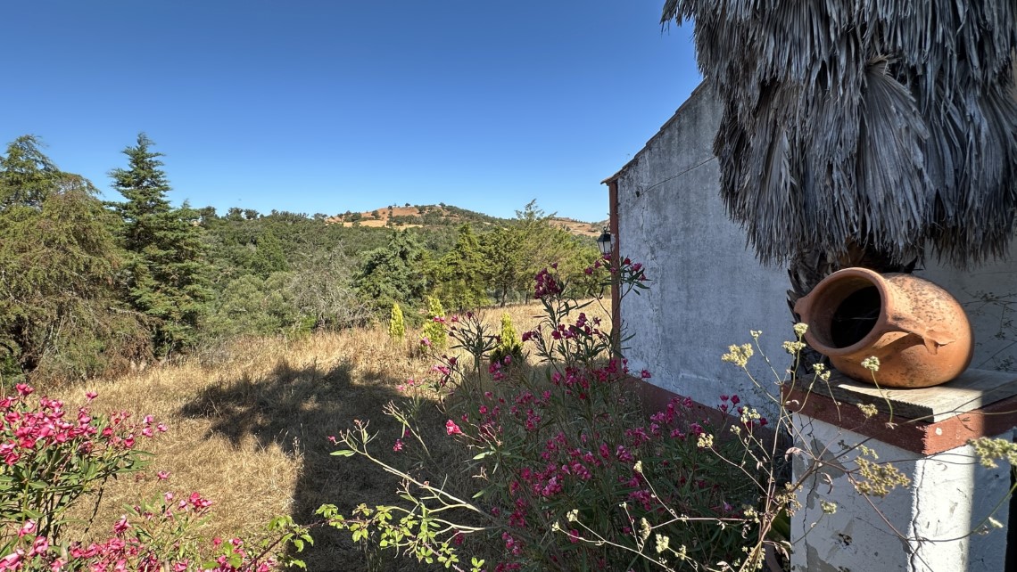 Large Corticeira Estate in Baixo Alentejo with Touristic, Residential and Agroforestry Potential
