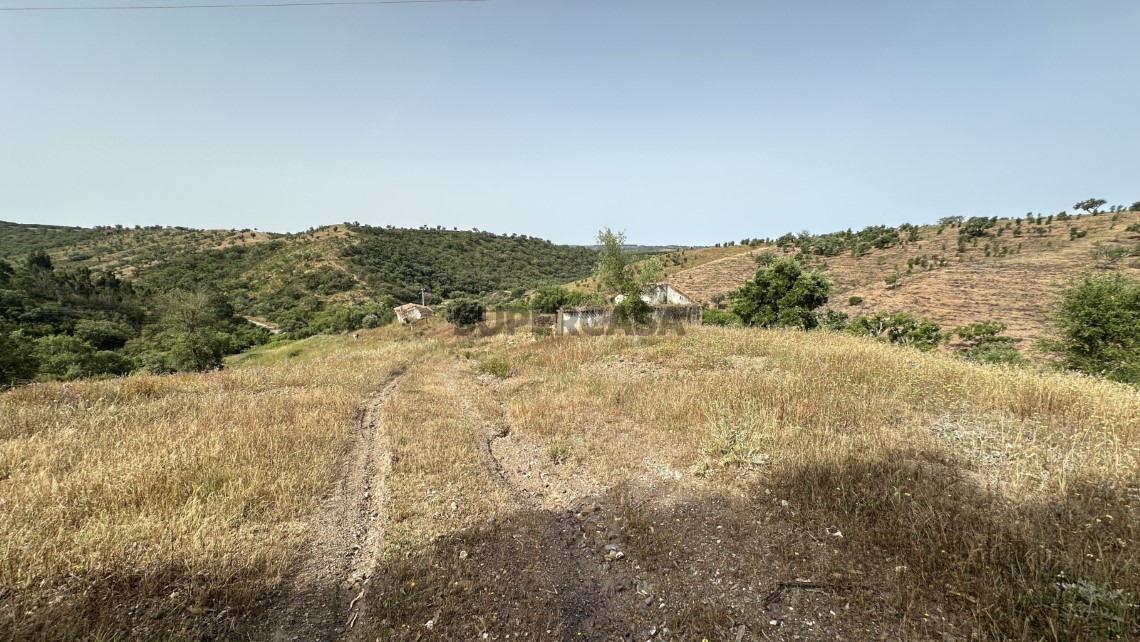 VF Ruins