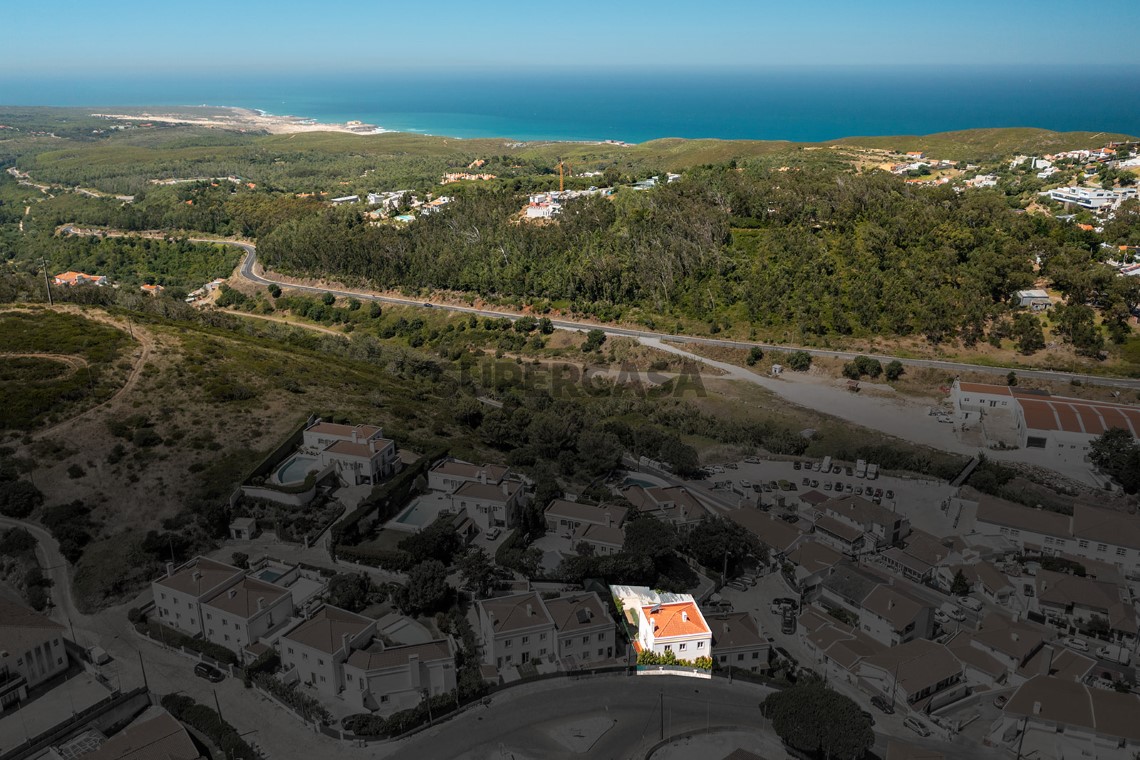 Vista Drone