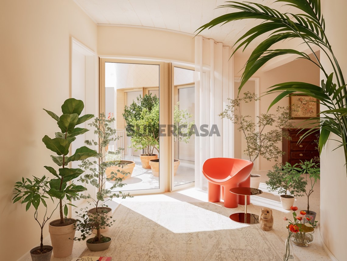 Divisão Modelo Selva