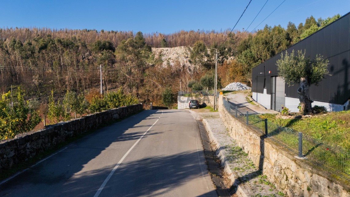Ruina