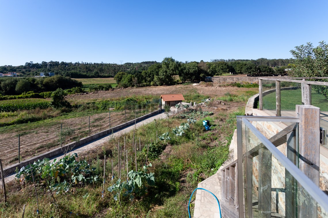 vista