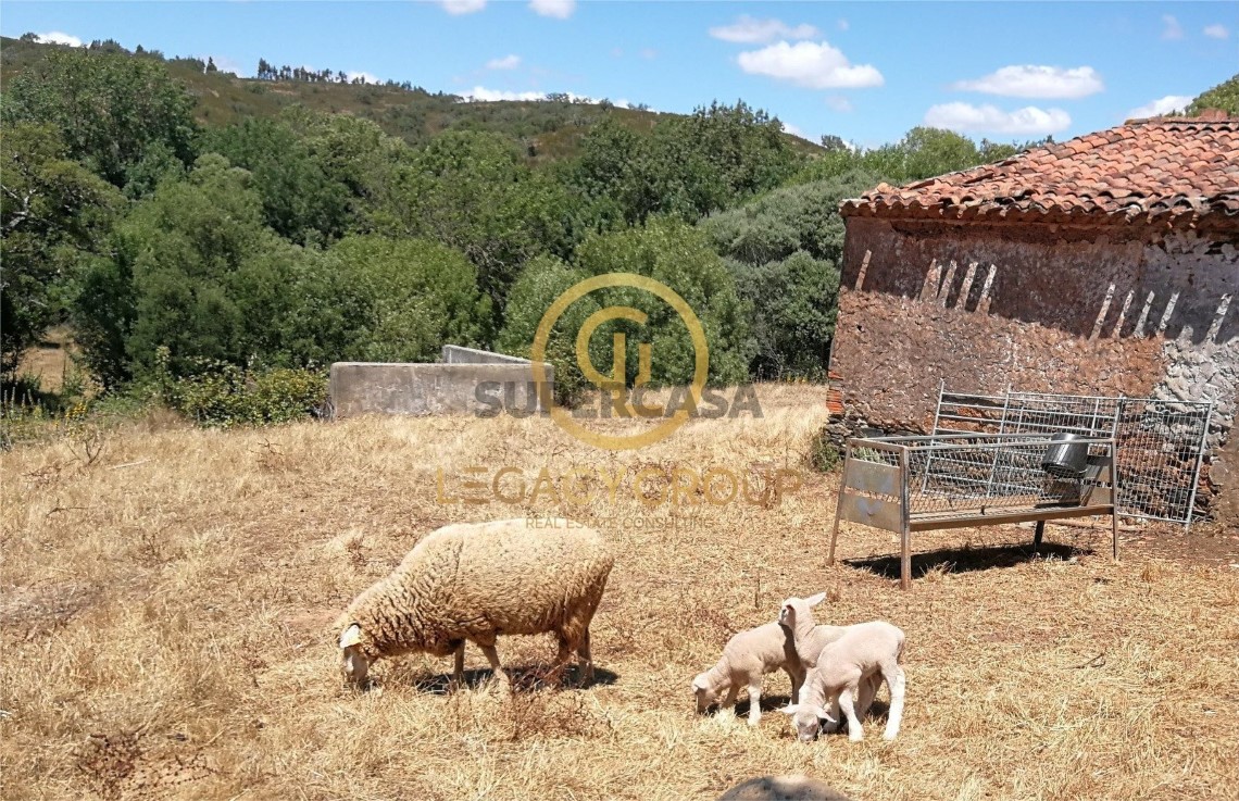 Finca ganadera 3 habitaciones en venta en Boavista dos Pinheiros