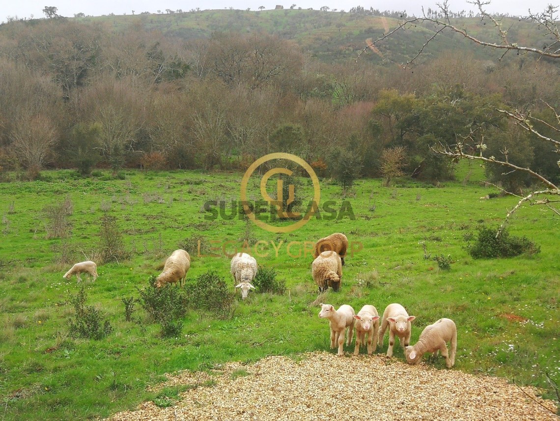 Finca ganadera 3 habitaciones en venta en Boavista dos Pinheiros
