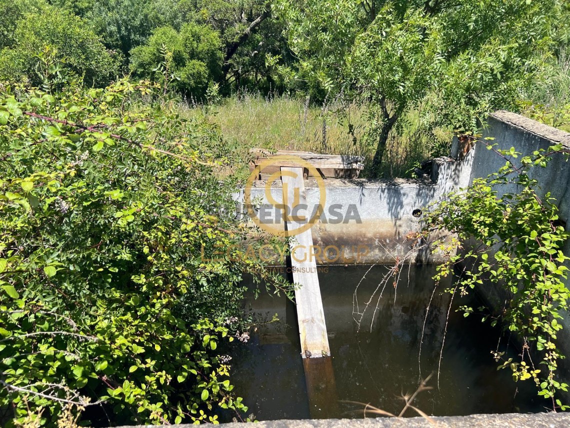 Finca ganadera 3 habitaciones en venta en Boavista dos Pinheiros