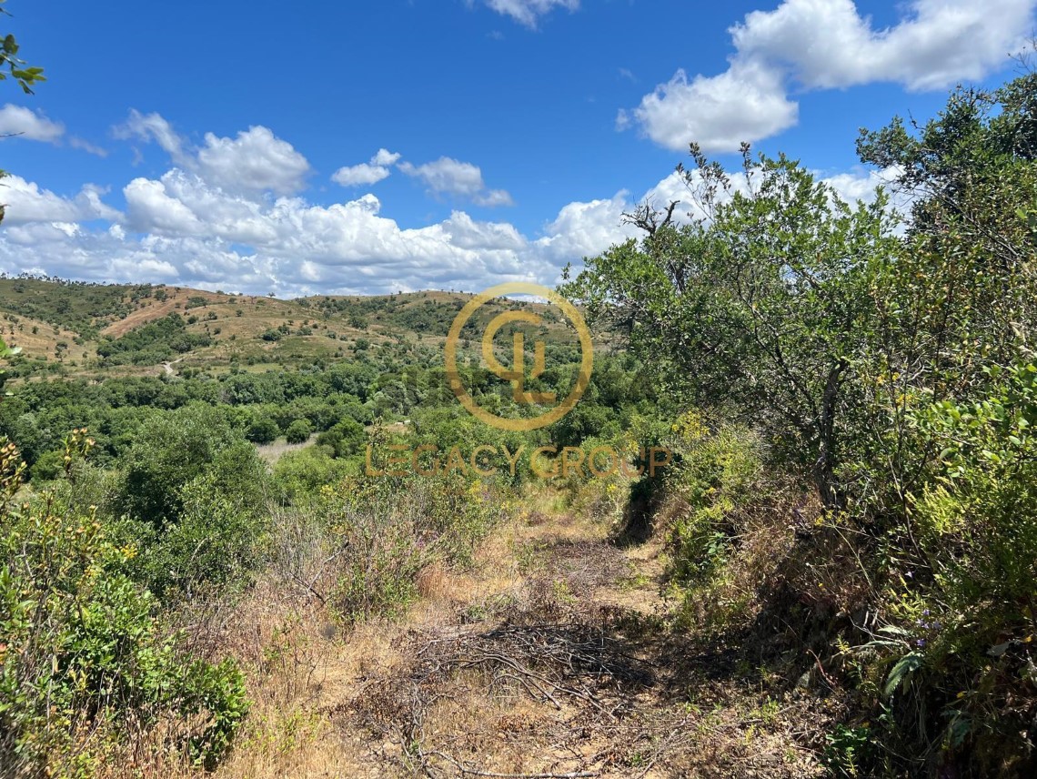 Finca ganadera 3 habitaciones en venta en Boavista dos Pinheiros