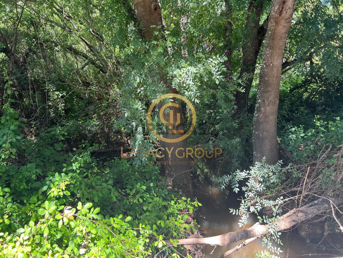 Finca ganadera 3 habitaciones en venta en Boavista dos Pinheiros