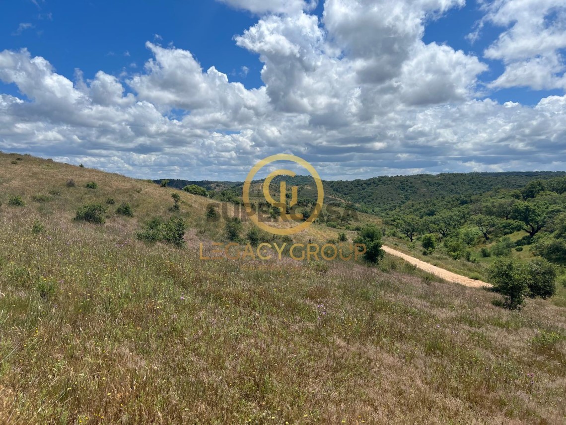 Finca ganadera 3 habitaciones en venta en Boavista dos Pinheiros