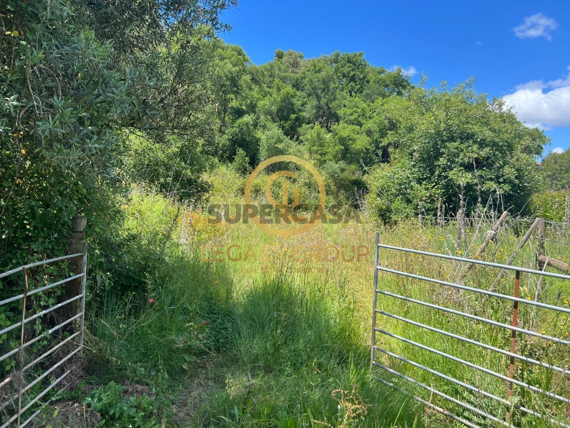 Finca ganadera 3 habitaciones en venta en Boavista dos Pinheiros