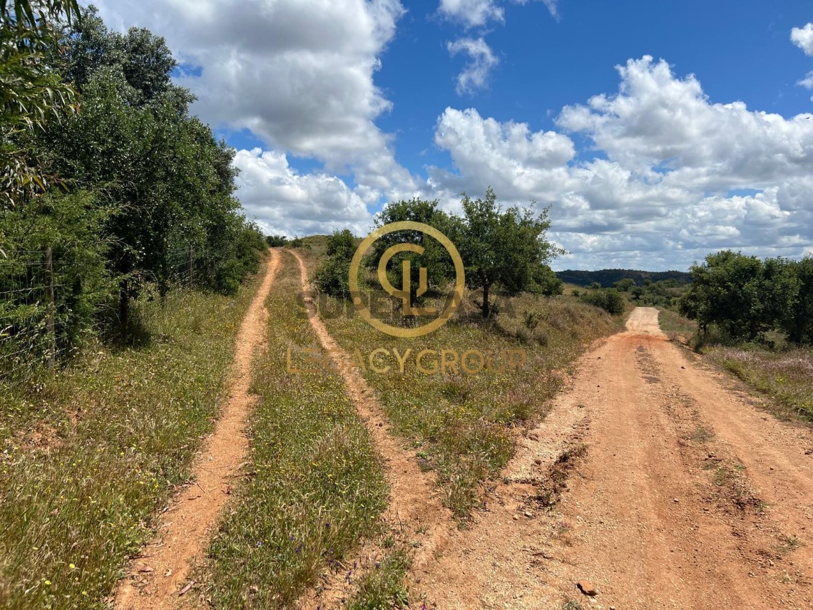 Finca ganadera 3 habitaciones en venta en Boavista dos Pinheiros