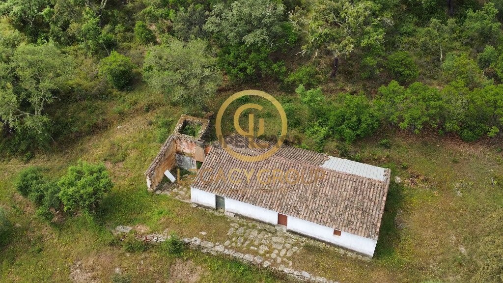 Finca ganadera 2 habitaciones en venta en São Martinho das Amoreiras