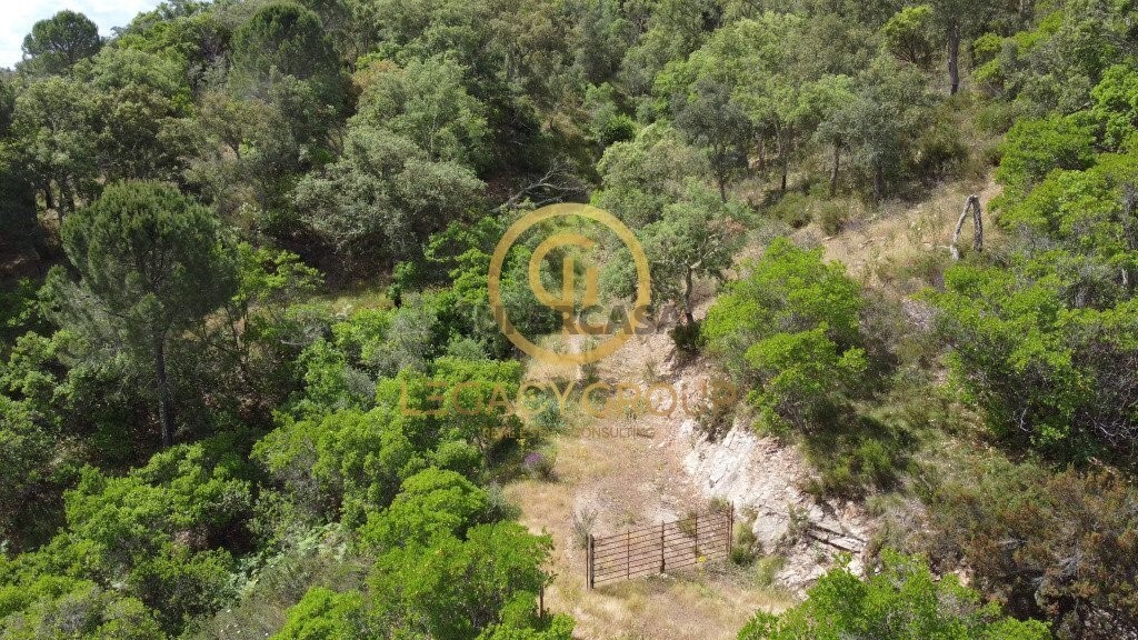 Finca ganadera 2 habitaciones en venta en São Martinho das Amoreiras