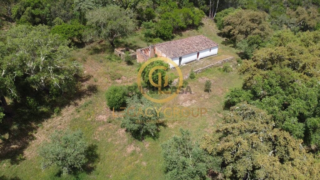Finca ganadera 2 habitaciones en venta en São Martinho das Amoreiras