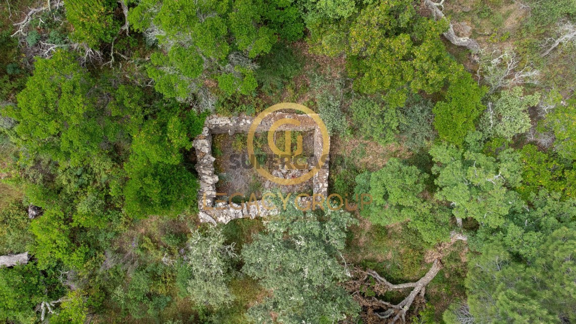 Finca ganadera 2 habitaciones en venta en São Martinho das Amoreiras