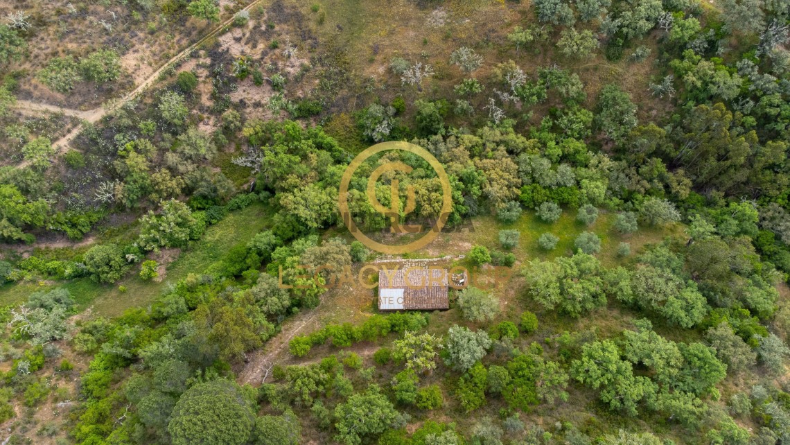 Finca ganadera 2 habitaciones en venta en São Martinho das Amoreiras