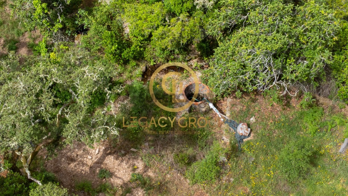 Finca ganadera 2 habitaciones en venta en São Martinho das Amoreiras