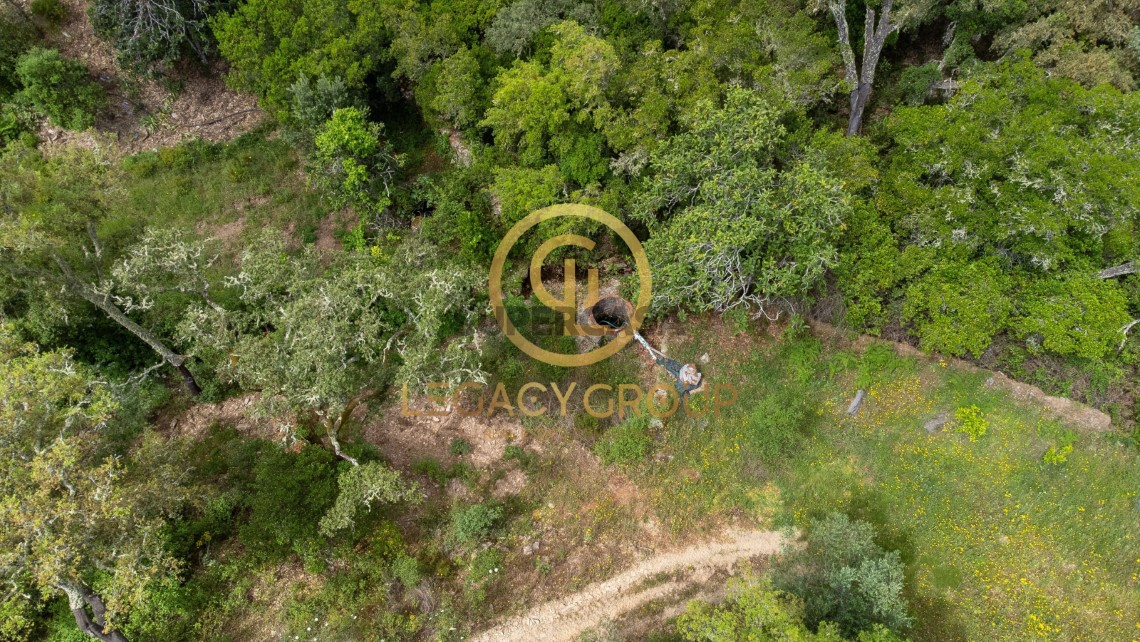 Finca ganadera 2 habitaciones en venta en São Martinho das Amoreiras