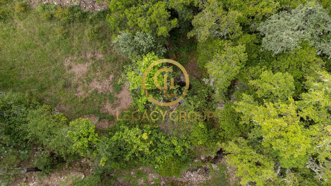 Finca ganadera 2 habitaciones en venta en São Martinho das Amoreiras