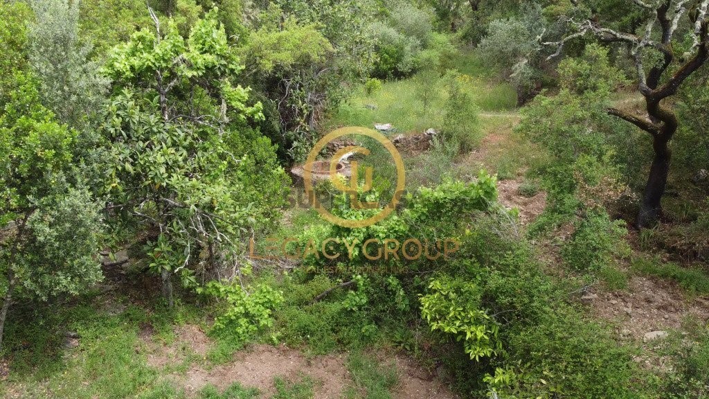 Finca ganadera 2 habitaciones en venta en São Martinho das Amoreiras