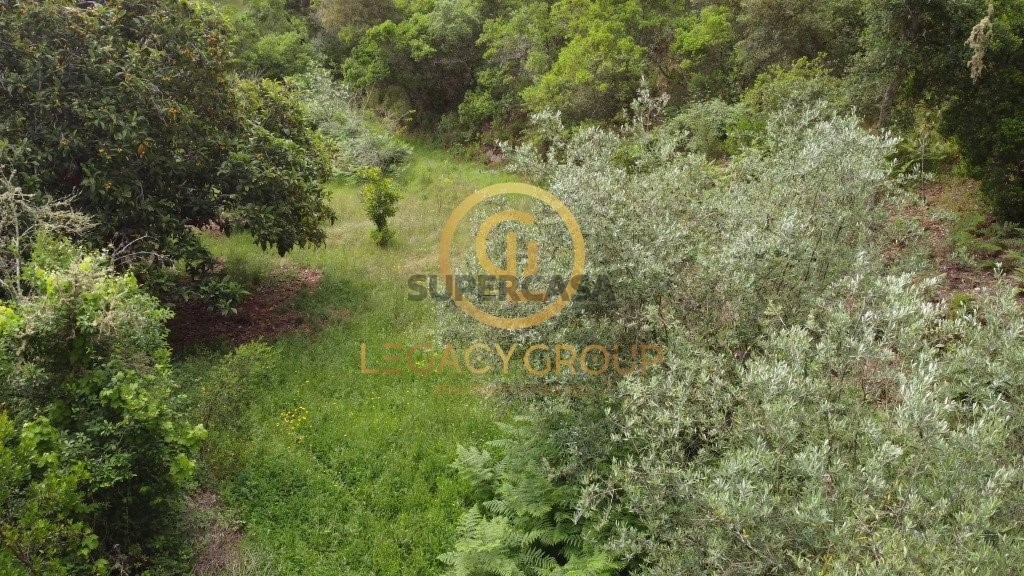 Finca ganadera 2 habitaciones en venta en São Martinho das Amoreiras