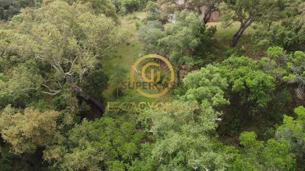 Finca ganadera 2 habitaciones en venta en São Martinho das Amoreiras