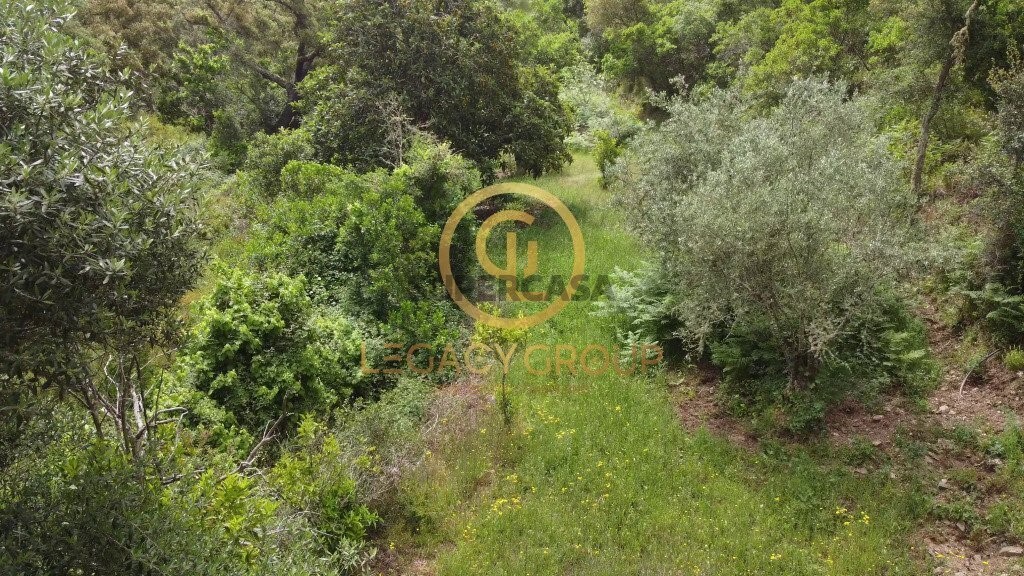 Finca ganadera 2 habitaciones en venta en São Martinho das Amoreiras
