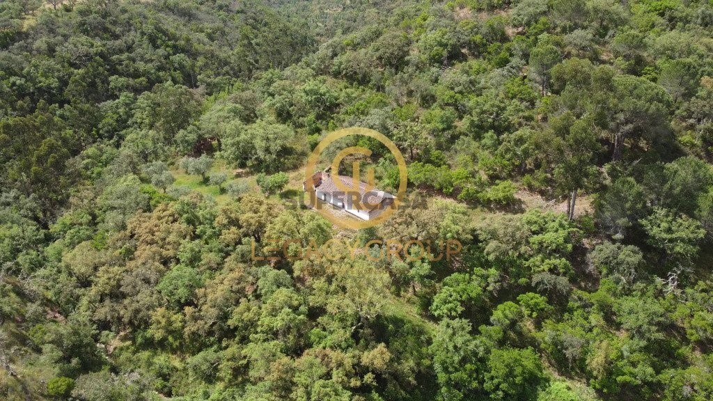 Finca ganadera 2 habitaciones en venta en São Martinho das Amoreiras