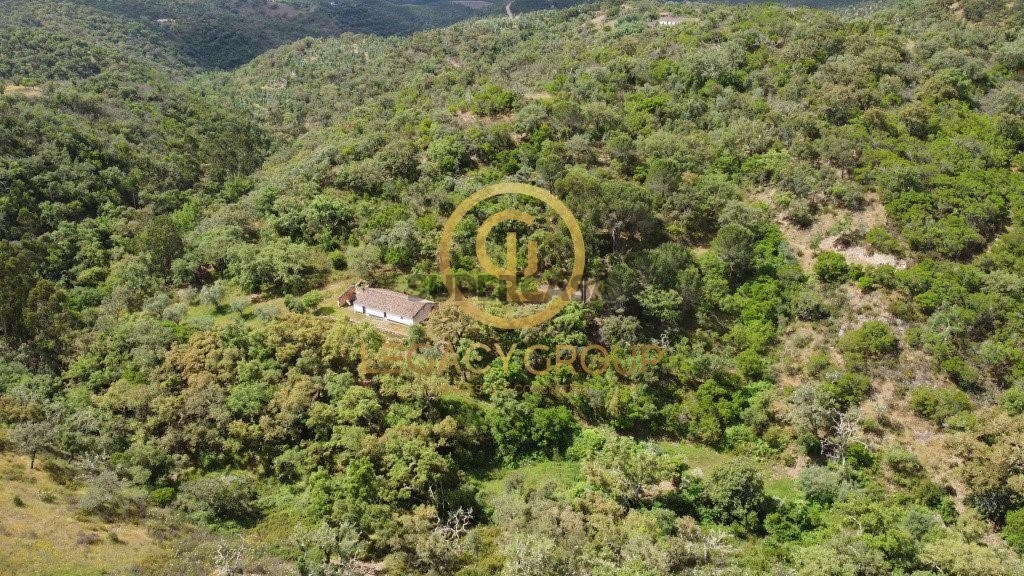 Finca ganadera 2 habitaciones en venta en São Martinho das Amoreiras