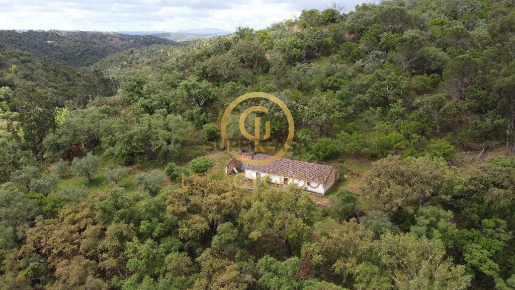 Finca ganadera 2 habitaciones en venta en São Martinho das Amoreiras