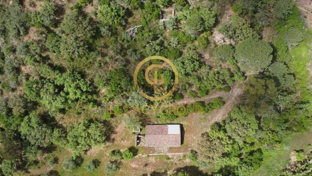 Finca ganadera 2 habitaciones en venta en São Martinho das Amoreiras