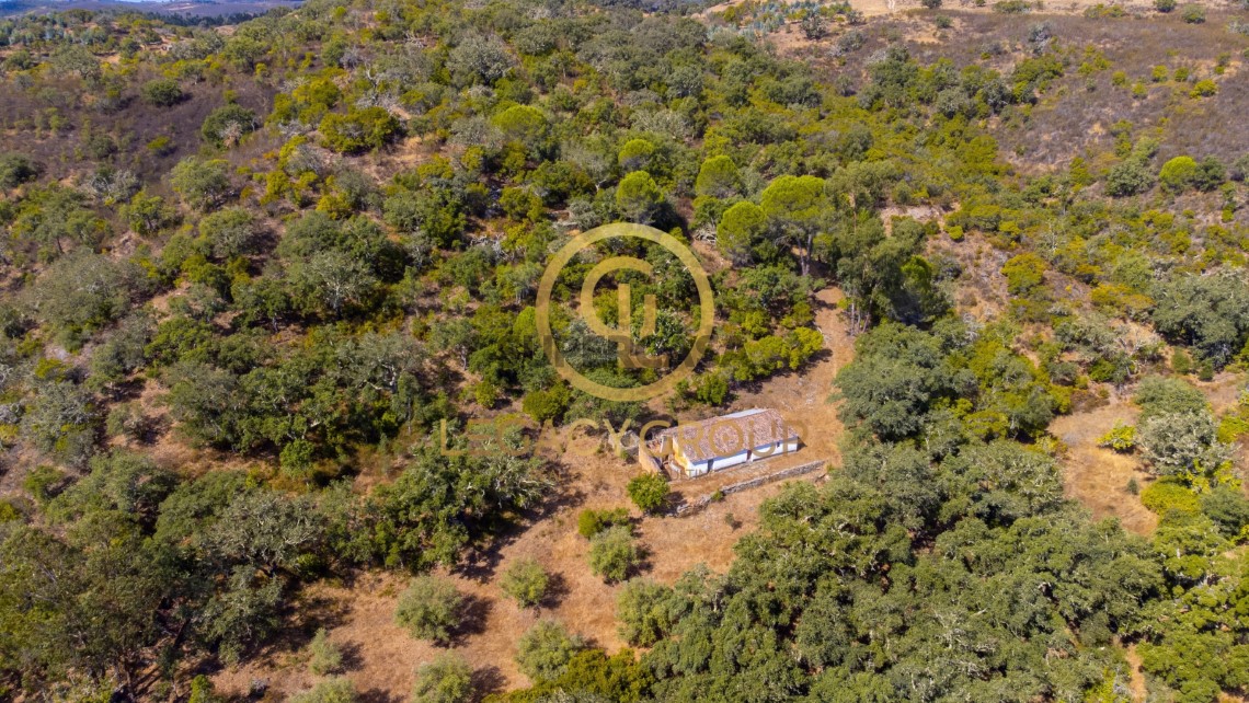 Finca ganadera 2 habitaciones en venta en São Martinho das Amoreiras