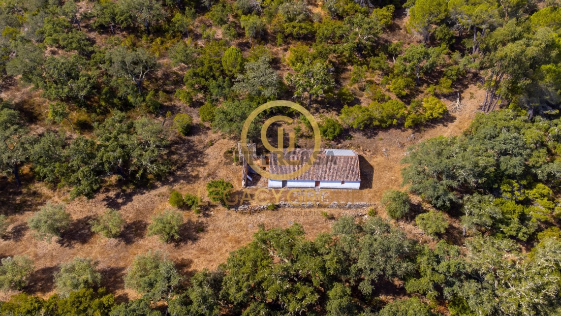 Finca ganadera 2 habitaciones en venta en São Martinho das Amoreiras