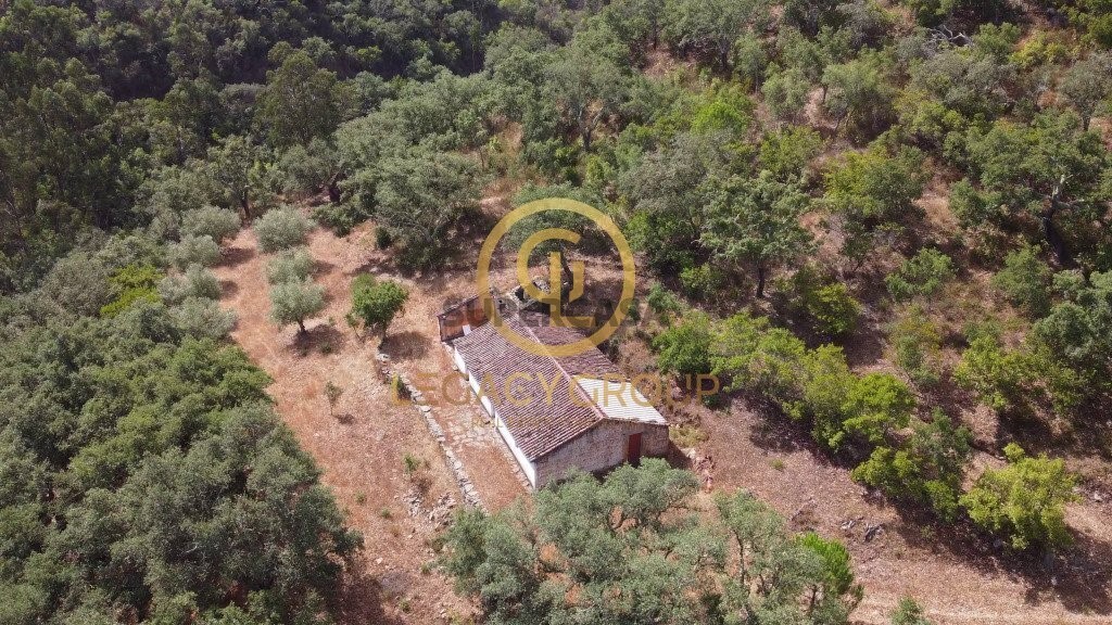 Finca ganadera 2 habitaciones en venta en São Martinho das Amoreiras