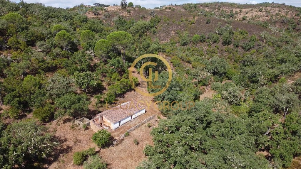 Finca ganadera 2 habitaciones en venta en São Martinho das Amoreiras