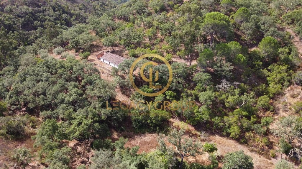 Finca ganadera 2 habitaciones en venta en São Martinho das Amoreiras