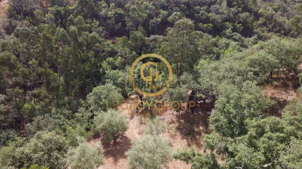 Finca ganadera 2 habitaciones en venta en São Martinho das Amoreiras