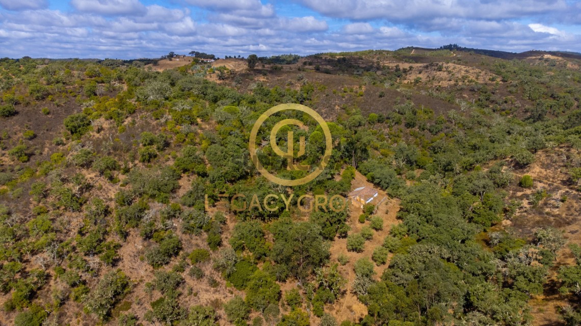 Finca ganadera 2 habitaciones en venta en São Martinho das Amoreiras