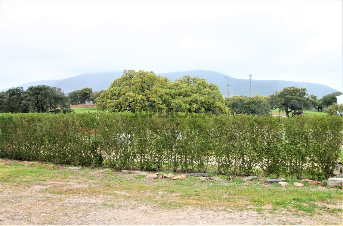 Quinta T4, Alentejo