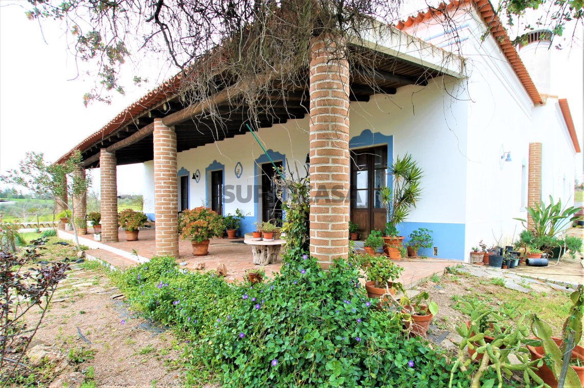 Quinta T4, Alentejo