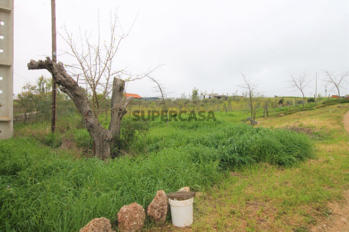 Quinta T4, Alentejo
