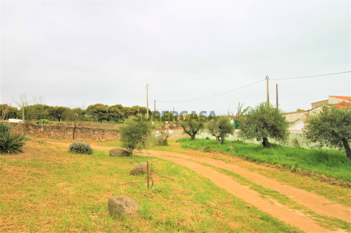Quinta T4, Alentejo