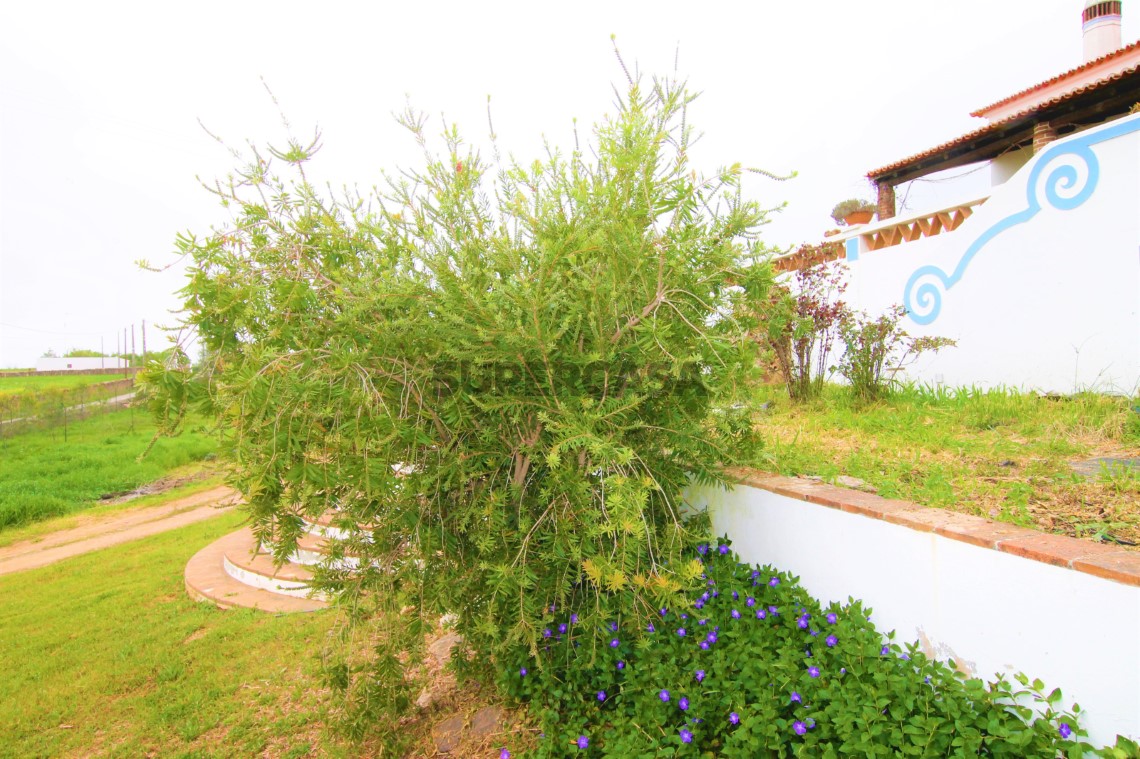 Quinta T4, Alentejo