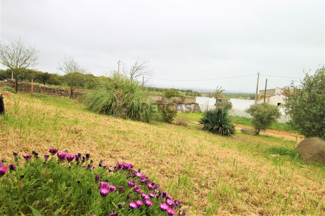 Quinta T4, Alentejo