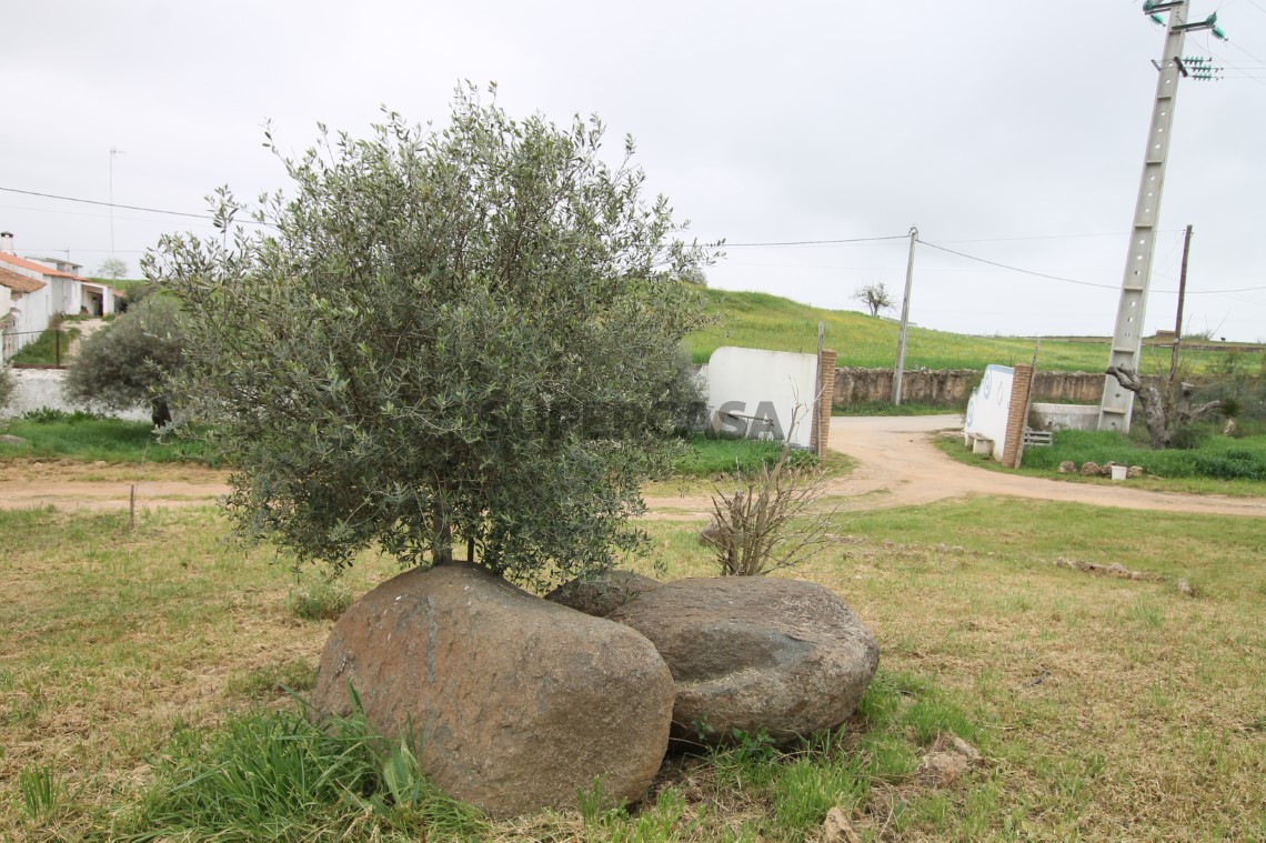 Quinta T4, Alentejo