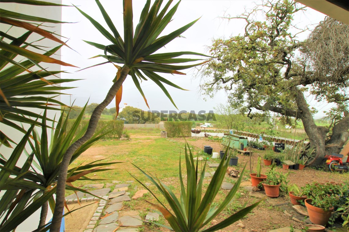 Quinta T4, Alentejo