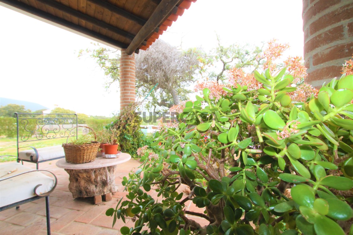 Quinta T4, Alentejo