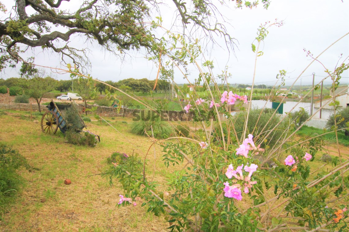 Quinta T4, Alentejo