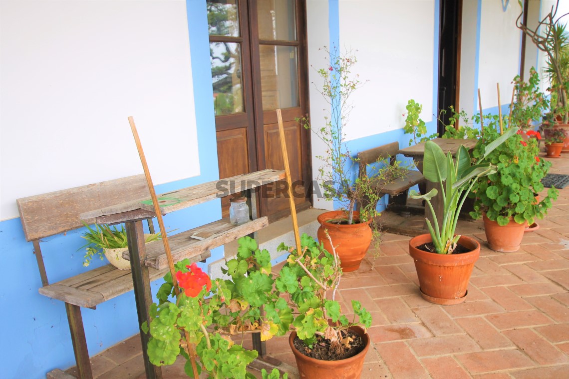 Quinta T4, Alentejo