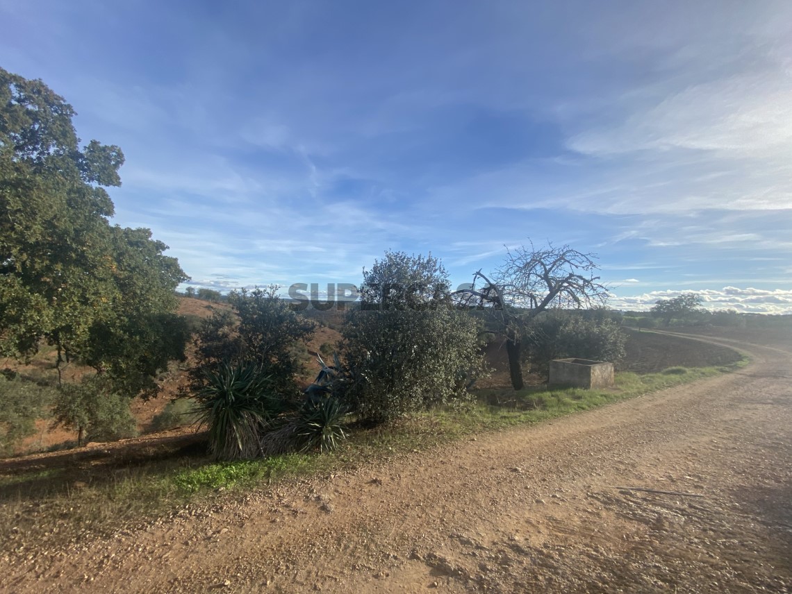 E31577DB-FBFA-4C5F-B49A-E2DC594E08E4